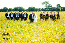 Enlarge photo 236