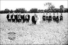 Enlarge photo 237