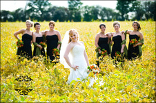 Enlarge photo 250
