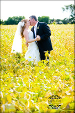 Enlarge photo 264