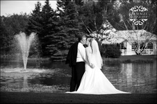 Enlarge photo 338