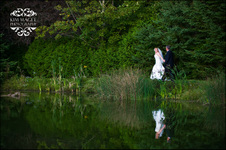 Enlarge photo 435