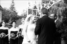 Enlarge photo 633