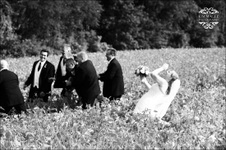 Enlarge photo 647