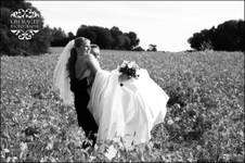 Enlarge photo 651