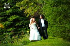 Enlarge photo 699