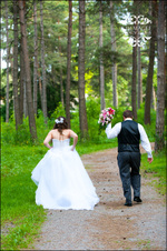 Enlarge photo 311