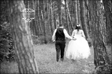 Enlarge photo 321
