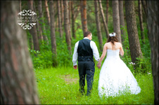 Enlarge photo 322