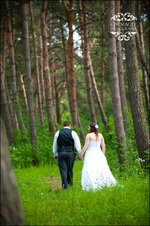 Enlarge photo 323
