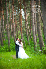 Enlarge photo 328