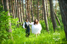 Enlarge photo 336