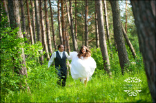 Enlarge photo 337