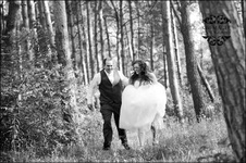 Enlarge photo 338