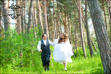Enlarge photo 339