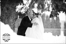Enlarge photo 122