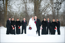Enlarge photo 151