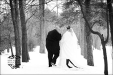 Enlarge photo 180