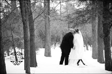 Enlarge photo 181