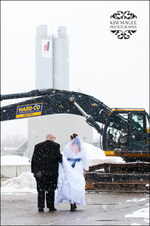 Enlarge photo 247