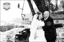 Enlarge photo 255