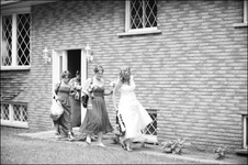Enlarge photo 90