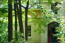 Enlarge photo 233