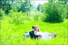Enlarge photo 252