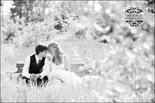 Enlarge photo 259
