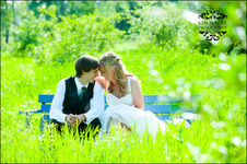Enlarge photo 260