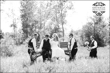 Enlarge photo 264