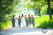 Enlarge photo 303
