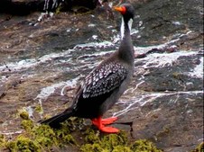 Enlarge photo 25
