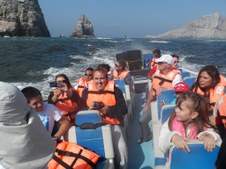 Enlarge photo 17