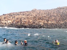 Enlarge photo 47