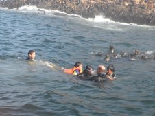 Enlarge photo 49