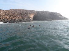 Enlarge photo 52