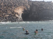 Enlarge photo 53