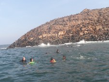 Enlarge photo 54