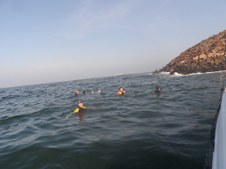 Enlarge photo 61
