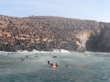 Enlarge photo 62