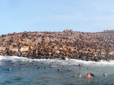 Enlarge photo 67
