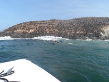 Enlarge photo 69