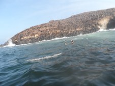 Enlarge photo 70