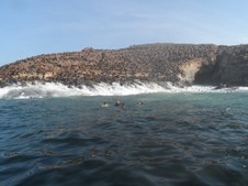 Enlarge photo 72