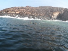 Enlarge photo 73