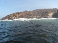 Enlarge photo 74