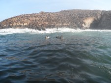 Enlarge photo 75