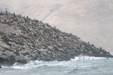 Enlarge photo 29