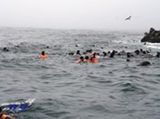 Enlarge photo 36